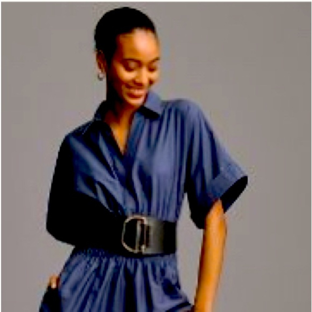 Anthropologie Somerset Dress